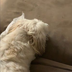 Meet your Posher, Corinne